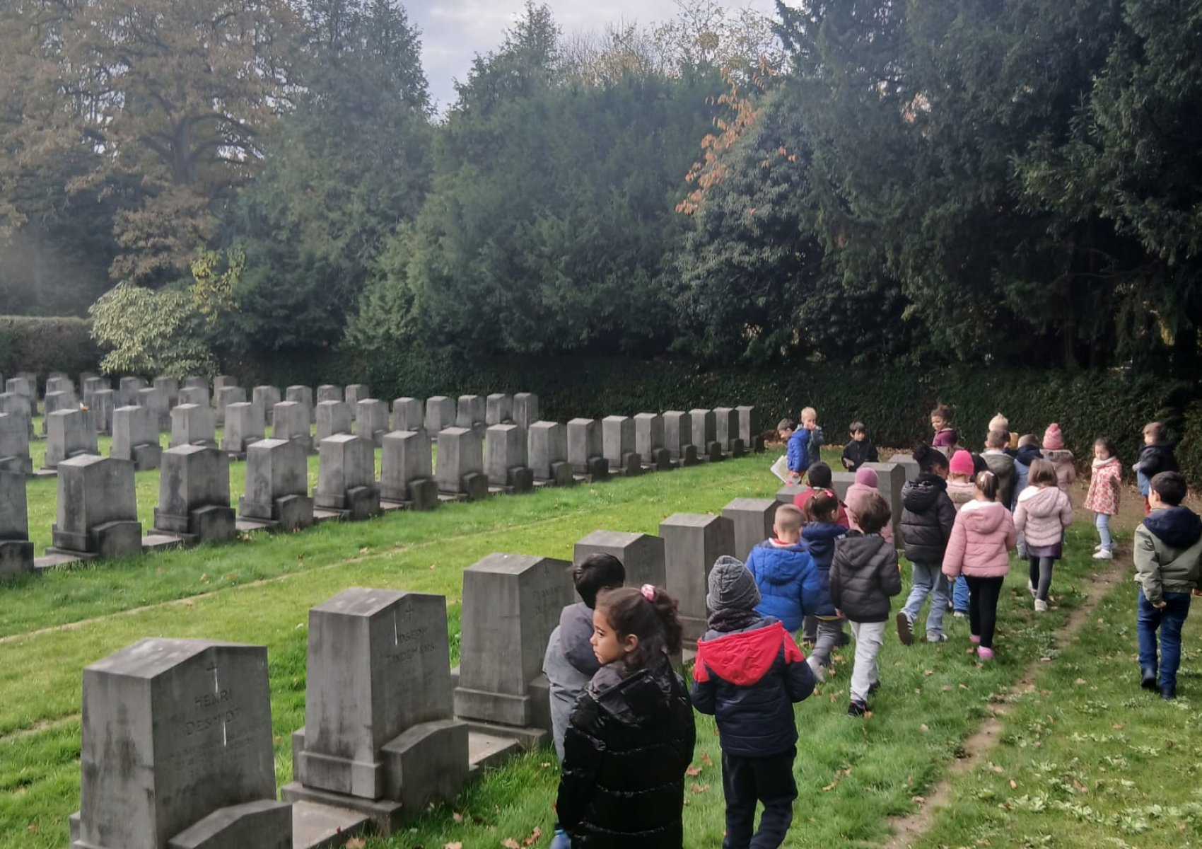 whatsapp image 2025-11-15 at 22.16.21